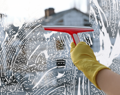 WINDOW CLEANING