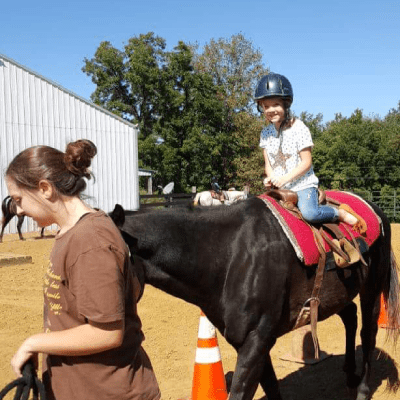 HORSE RIDING LESSONS