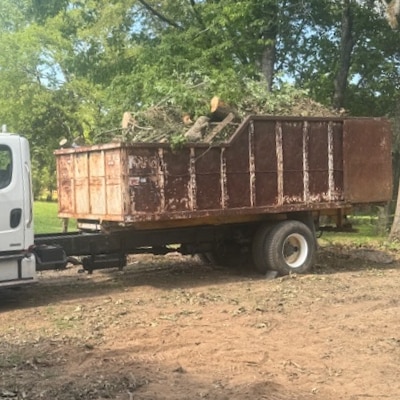 Tree Removal Service