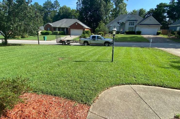 Pro Landscaping and Maintenance