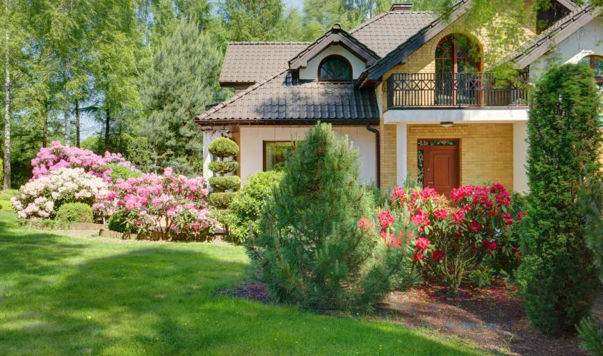 Pro Landscaping and Maintenance