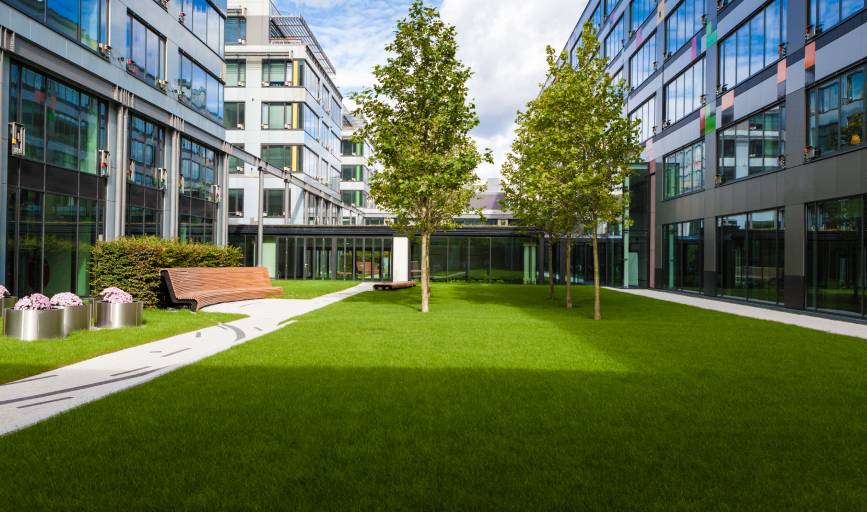 Pro Landscaping and Maintenance