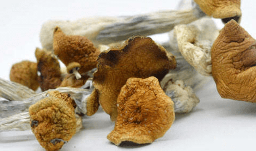 Capitol Psychedelics DC