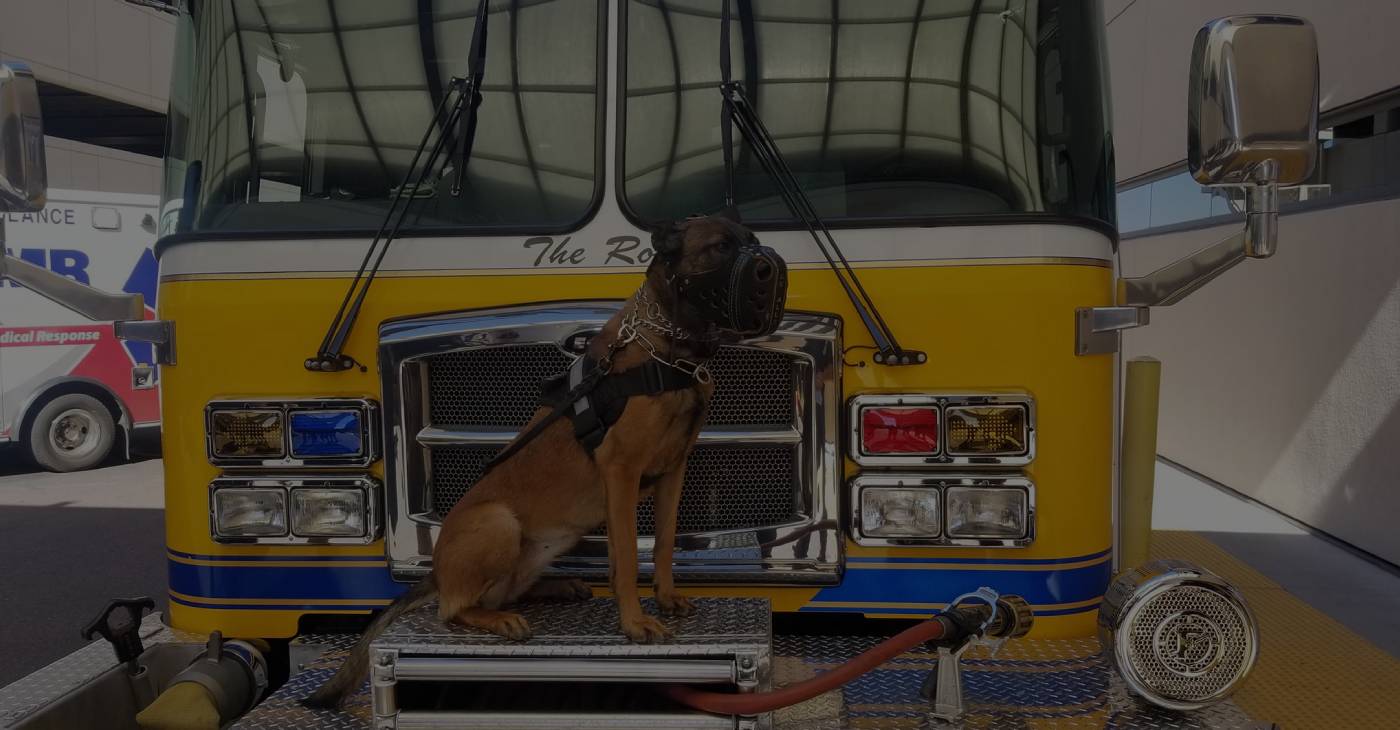 Jeremy's K-9 Training Offers Dog Training in Surprise, AZ 85379