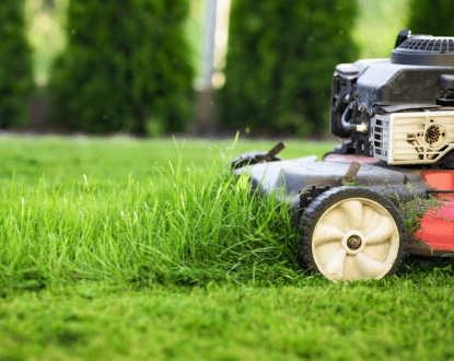 LANDSCAPING SERVICES