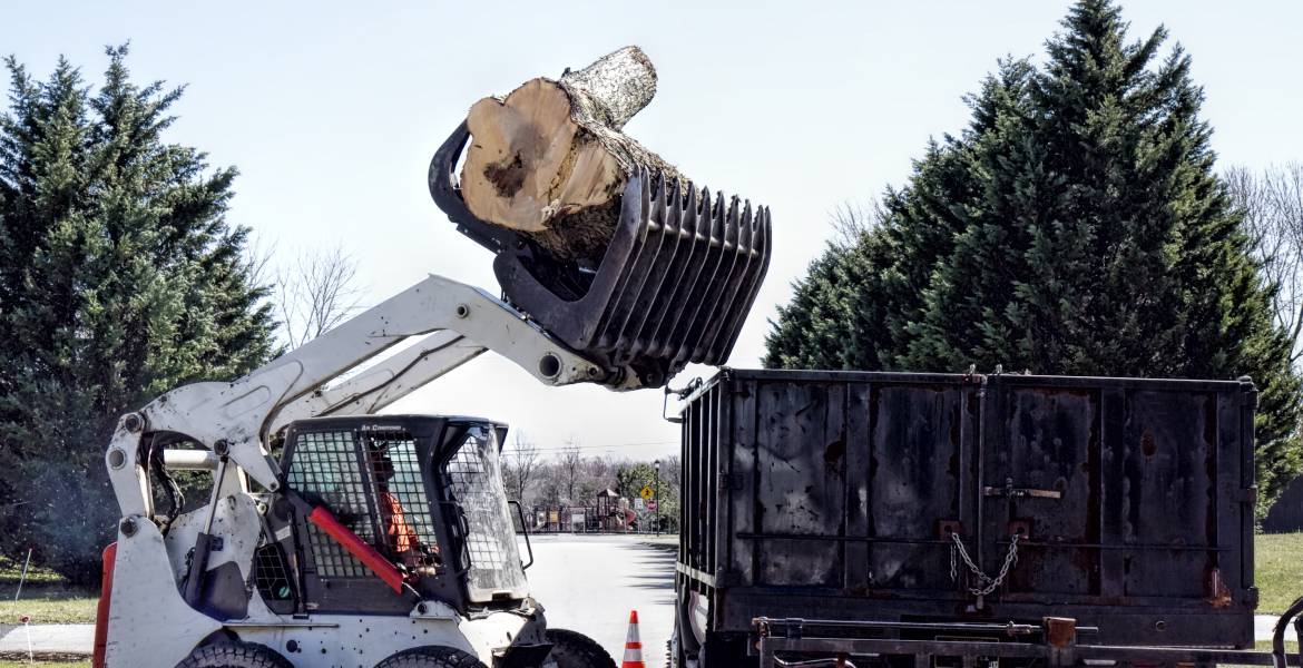 Tiny Tim Tree Service