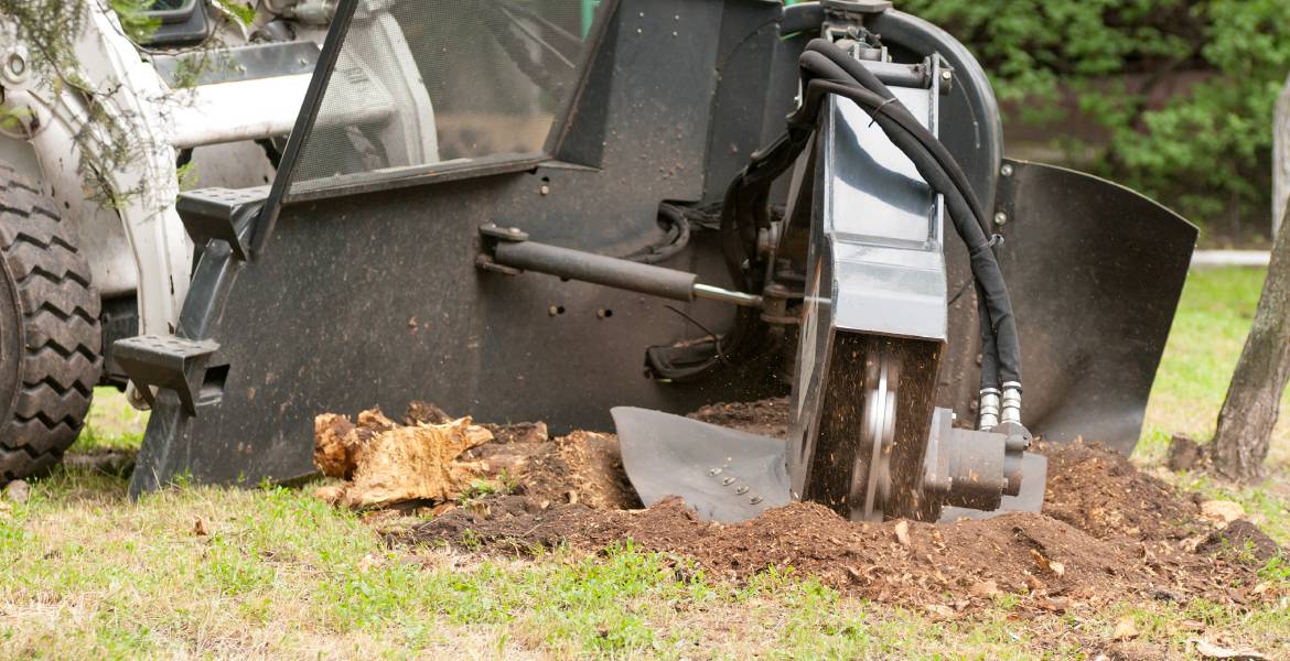 Tiny Tim Tree Service