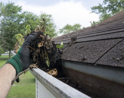 GUTTER CLEANING