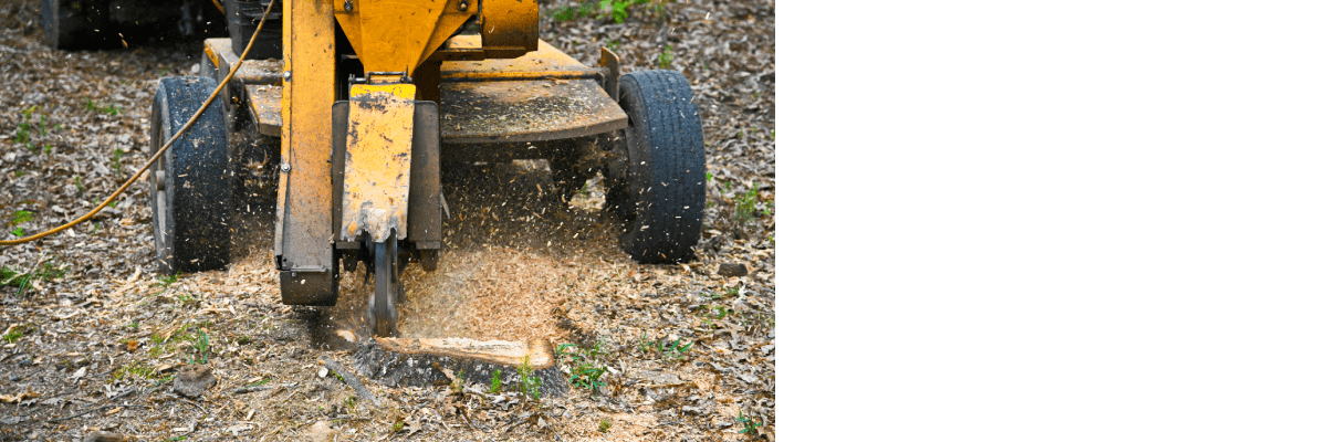 Stump Grinding