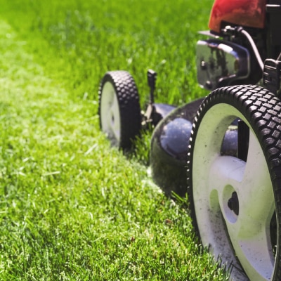LAWN CARE MAINTENANCE