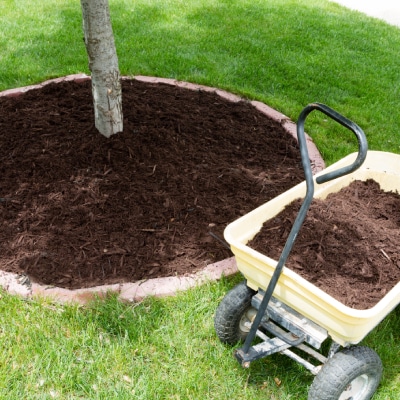 MULCHING SERVICES