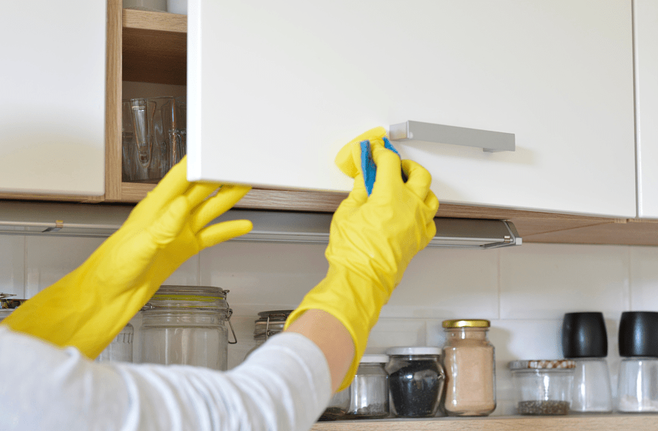 IGM Cleaning Service