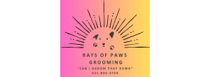 Rays of Paws