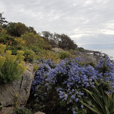 RESIDENTIAL LANDSCAPING