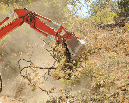 LAND CLEARING SERVICE