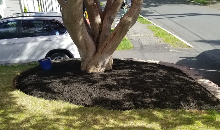 J&A Brothers Tree Service & Landscaping