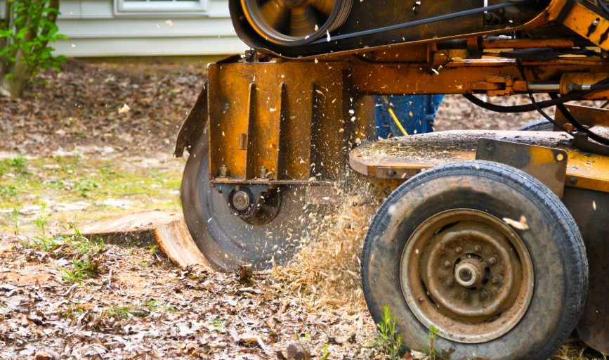 J&A Brothers Tree Service & Landscaping