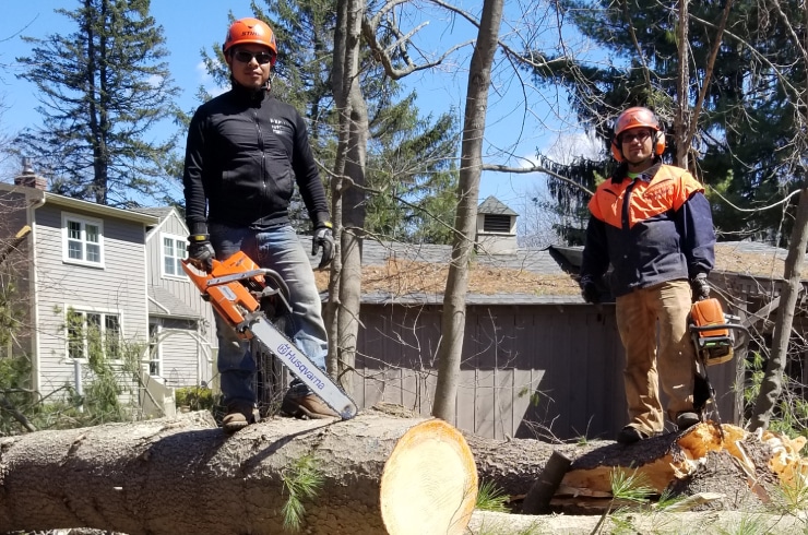 J&A Brothers Tree Service & Landscaping