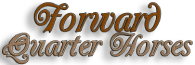 Forward Quarter Horses