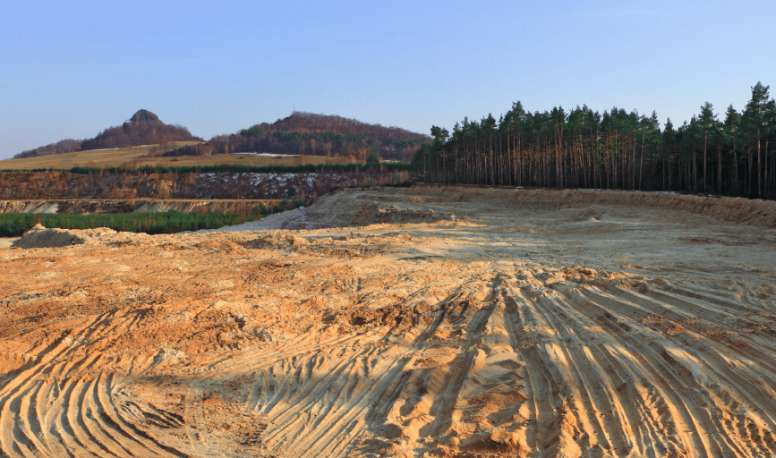 Forward Quarter Horses