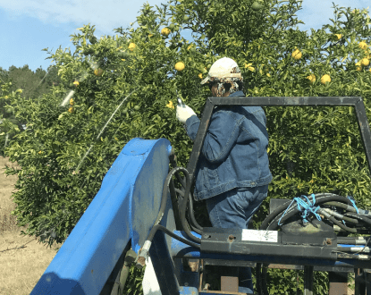 HERBICIDE APPLICATION