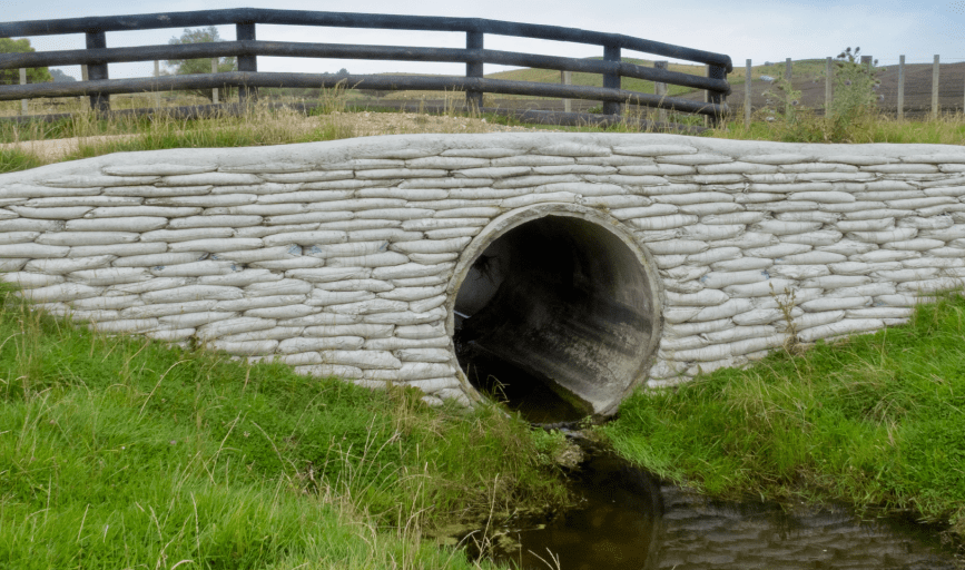 Forward Quarter Horses