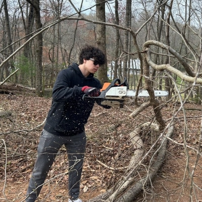 TREE CUTTING