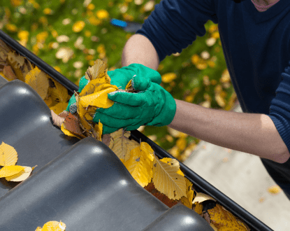 GUTTER CLEANING