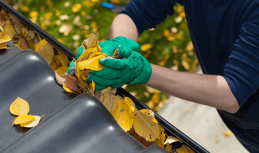 American United Re-Screens