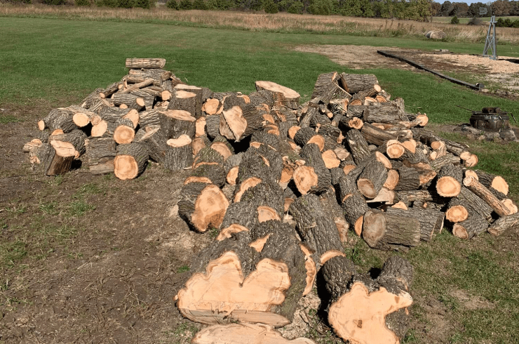 Seabee's Tree Service