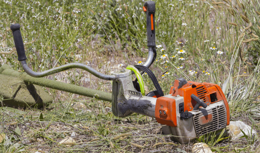 Seabee's Tree Service