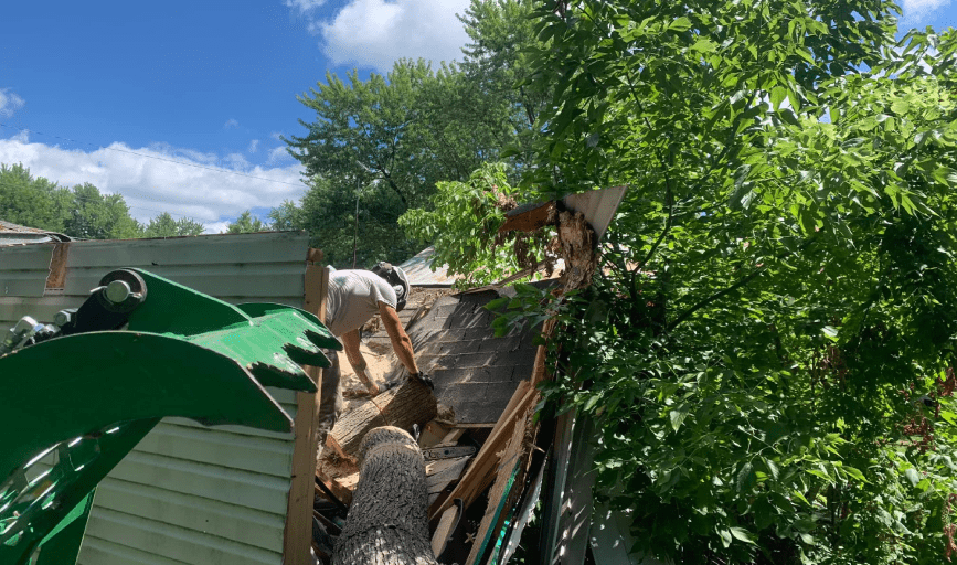Seabee's Tree Service