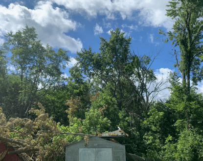 EMERGENCY TREE REMOVAL