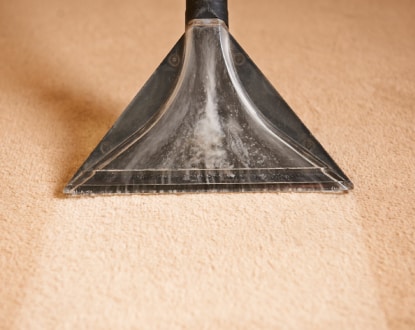 CARPET CLEANING SERVICES