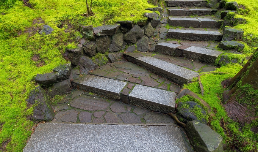 Blademasters Outdoors