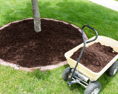 MULCHING