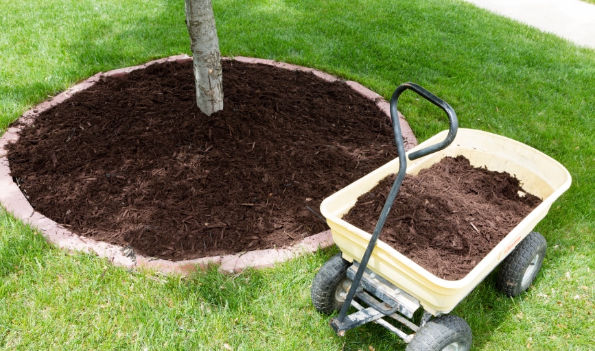 Blademasters Outdoors