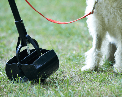DOG POOP CLEANUP