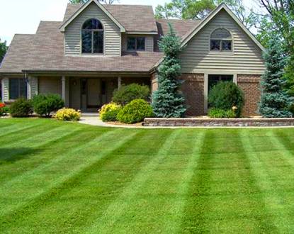 LAWN TREATMENT