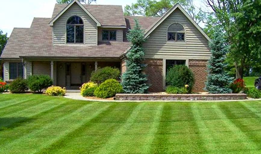 Affordable Lawn Care	