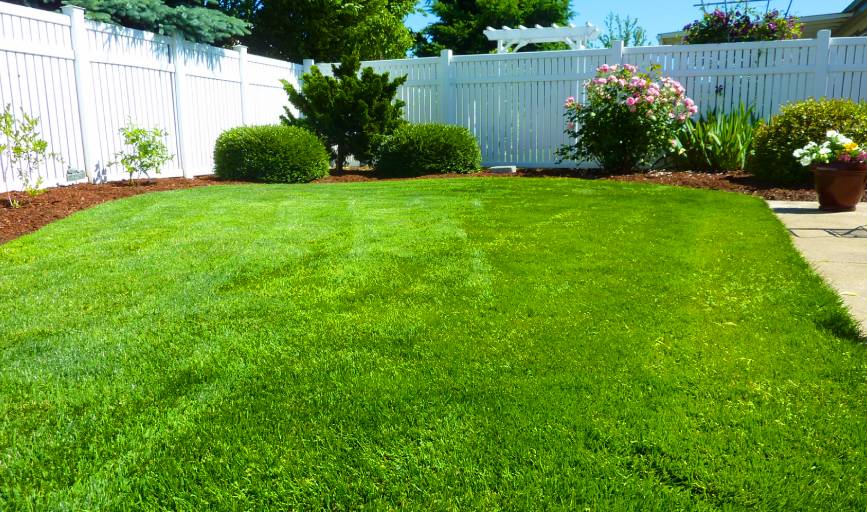 Affordable Lawn Care	