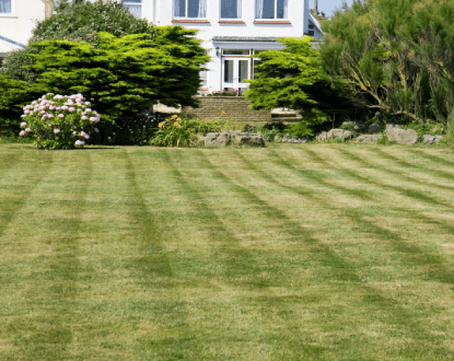 LAWN CARE SERVICES