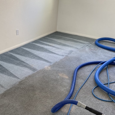 COMMERCIAL CARPET CLEANING SERVICES