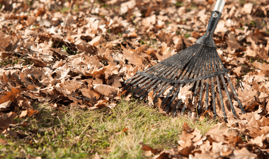 Green Apple Landscaping