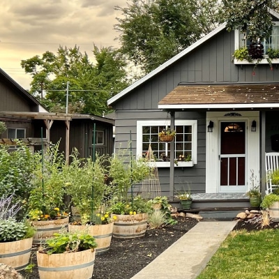 POLLINATOR GARDEN DESIGN