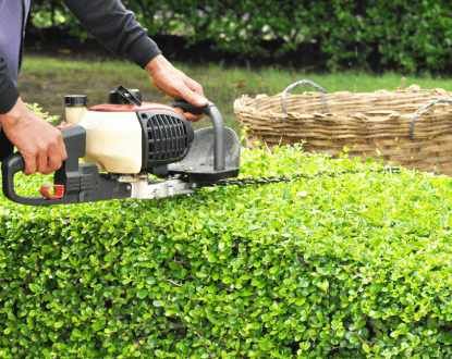 HEDGE TRIMMING SERVICES