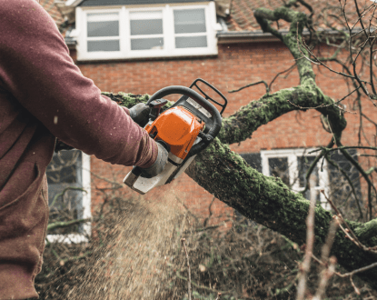 TREE SHAPING SERVICES