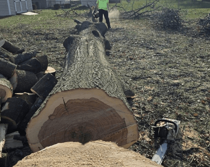 TREE REMOVAL SERVICES