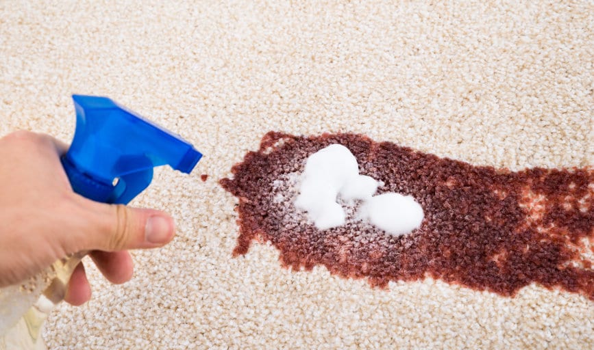 Awe Inspiring Carpet Cleaning