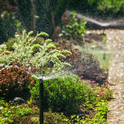 IRRIGATION SYSTEM MAINTENANCE